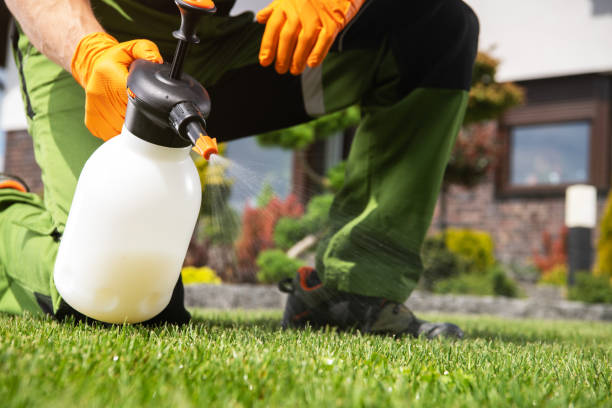 Professional Pest Control in Ouray, CO
