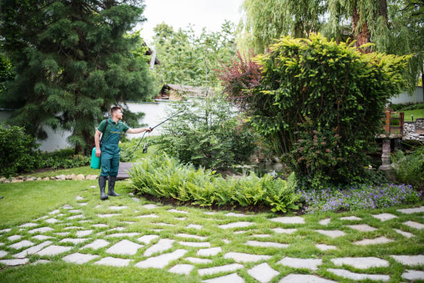 Best Best Pest Control Companies  in Ouray, CO