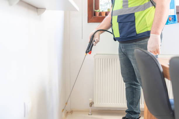 Professional Pest Control in Ouray, CO