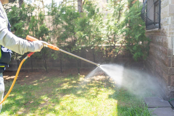 Best Pest Removal Services  in Ouray, CO