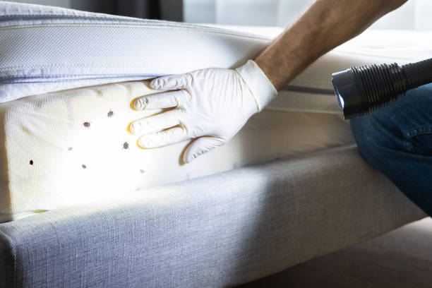 Best Pest Inspection Near Me  in Ouray, CO