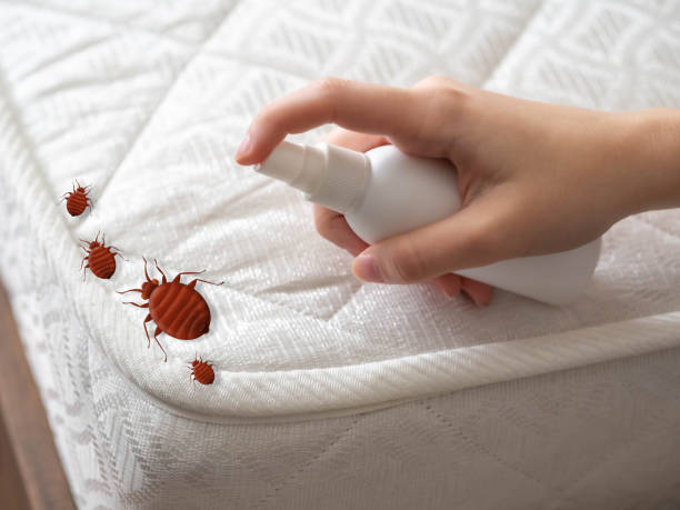 Best Commercial Pest Control Services  in Ouray, CO