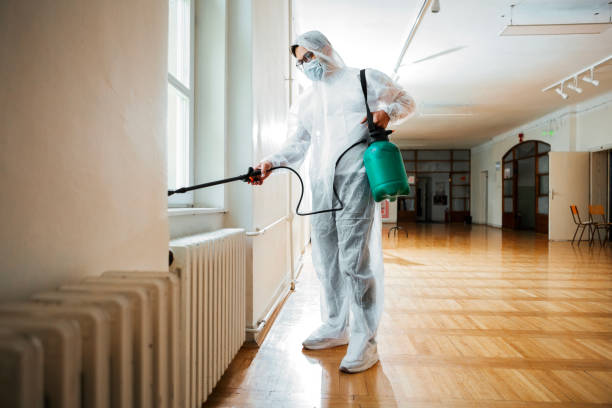Best Flea Control Services  in Ouray, CO