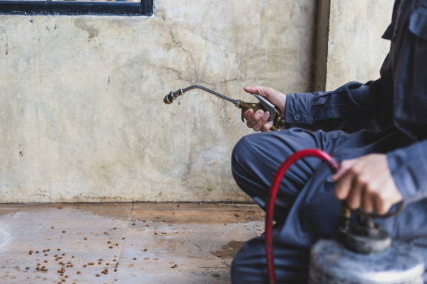 Best Pest Control for Restaurants  in Ouray, CO